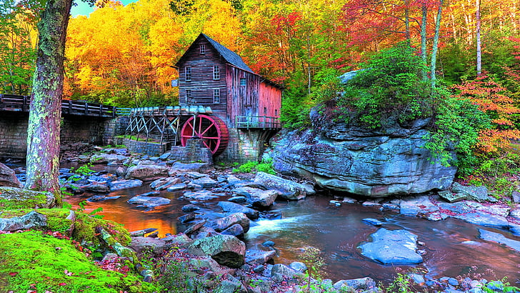 river, autumn forest, autumn colors, united states, west virginia
