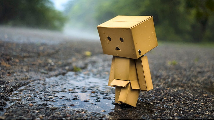 Danbo, human representation, focus on foreground, no people, HD wallpaper