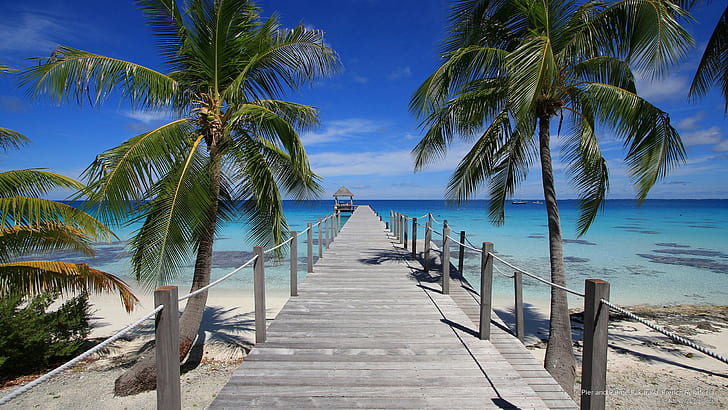 Pier and Palms, Fakarava, French Polynesia, Islands, HD wallpaper