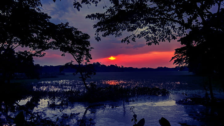 sunset, wetland, red sky, dusk, evening, landscape, silhouette, HD wallpaper