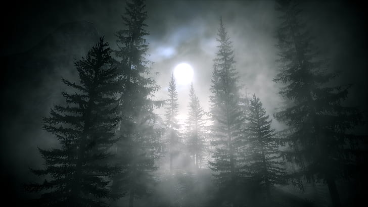Alan Wake Moonlight Mist Fog Trees HD, video games, HD wallpaper
