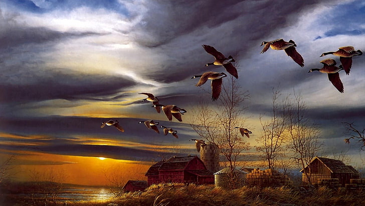 painting, art, wild duck, mallard, terry redlin, farm, sunset, HD wallpaper