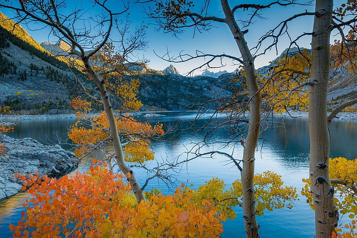 orange leaf trees, photography, nature, landscape, lake, mountains, HD wallpaper