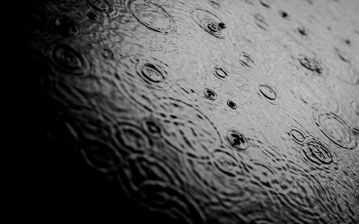 rain, puddle, ripples, monochrome