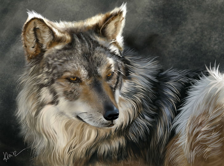 animals, art, glance, painting, wolf, wolves, HD wallpaper