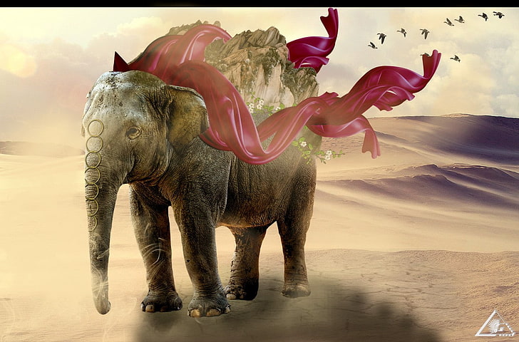 elephant, animal themes, mammal, nature, animal representation, HD wallpaper