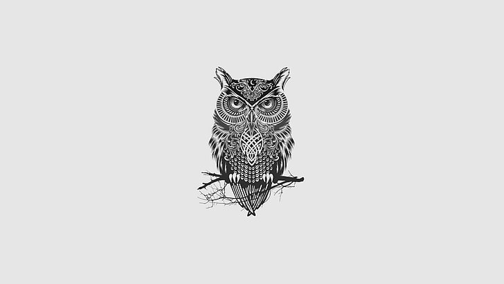 owl illustration, minimalism, tattoo, monochrome, animal themes, HD wallpaper