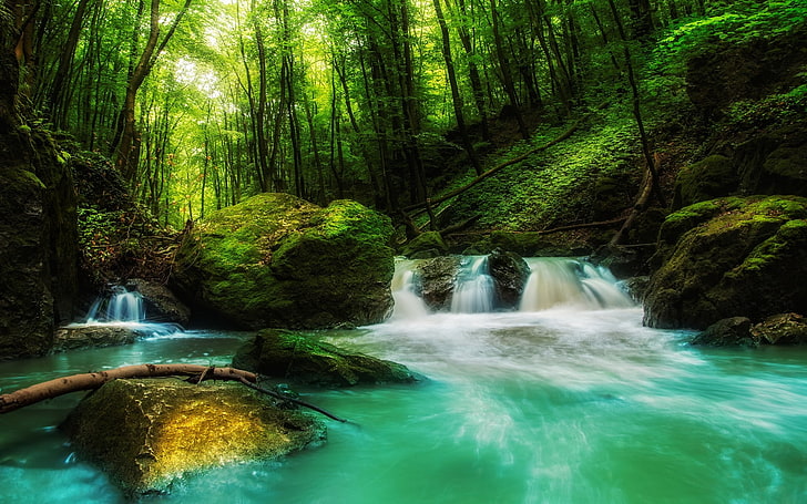 landscape, nature, waterfall, forest, rock, sunlight, green
