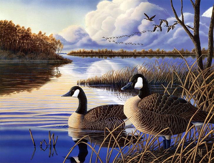 Canadian geese, autumn, lake, river, duck, the evening, painting, HD wallpaper