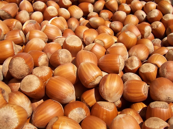 brown chestnut, nuts, shells, food, nut - Food, hazelnut, close-up, HD wallpaper