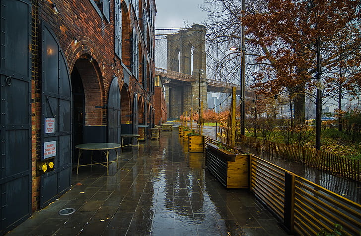 autumn, bridge, rain, tree, New York, cafe, New York City, Brooklyn Bridge, HD wallpaper