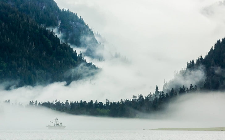 sailboat near foggy forest, photography, landscape, nature, mountains