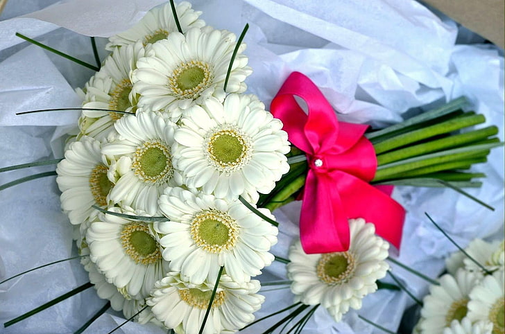 white Gerbera daisy flower bouquet, flowers, bow, beautifully, HD wallpaper