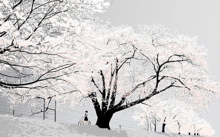 Trees Cherry Blossom HD, digital/artwork