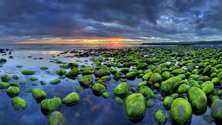 Iceland Wallpaper Hd Mossy Rocks Sunset Beach Nature Wallpaper Hd