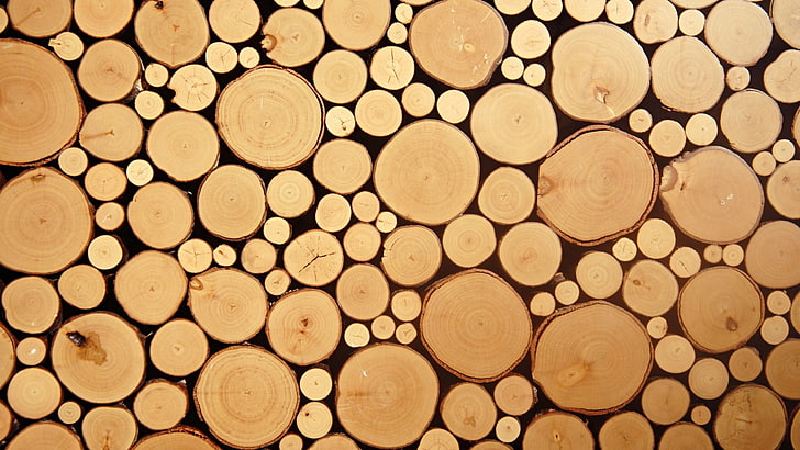 pile of woods wallpaper, nature, texture, circle, photography, HD wallpaper