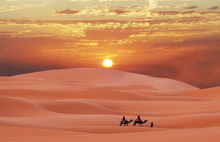 white dessert sand, desert, Sands, caravan, Sugar, Morocco, caravan in the Sahara, HD wallpaper