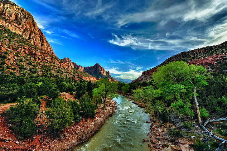USA, Zion National Park, Utah, river, stones, cliffs, bushes, HD wallpaper