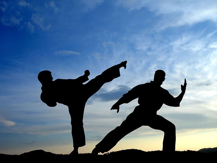 HD wallpaper: silhouette photo of men doing karate, The sky, Sport, Battle  | Wallpaper Flare