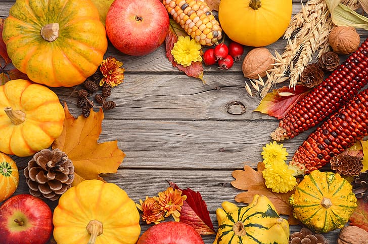 autumn, leaves, background, colorful, harvest, pumpkin, maple