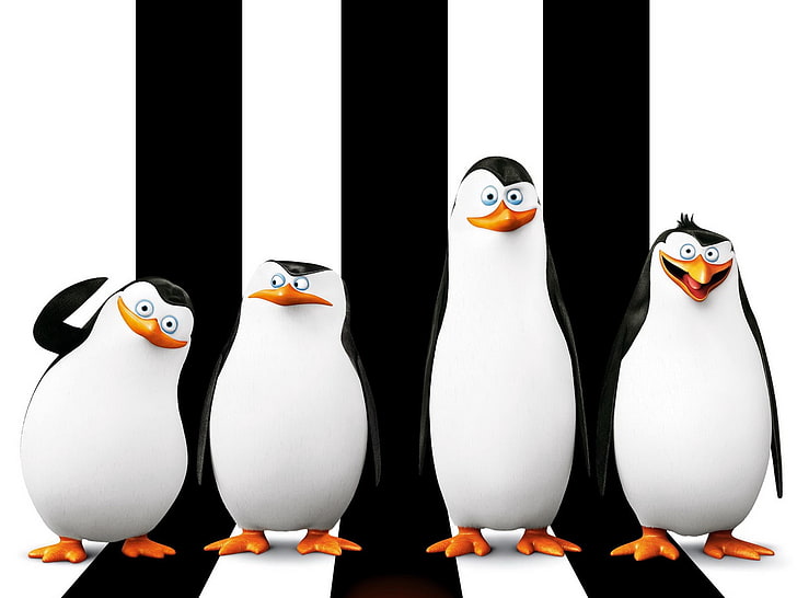 penguins from Madagascar vector art, penguins of madagascar, skipper, HD wallpaper