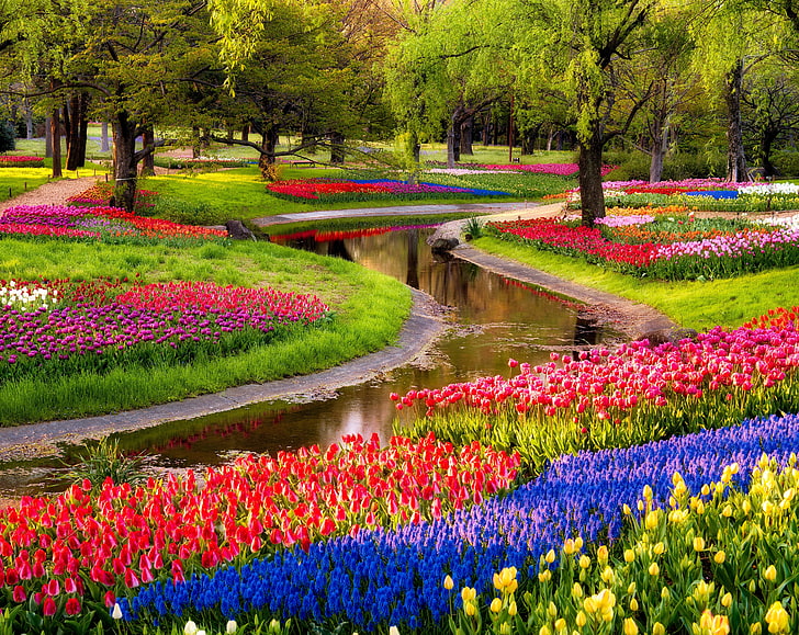 Tulip garden 1080P, 2K, 4K, 5K HD wallpapers free download | Wallpaper Flare