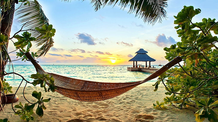 brown wicker hammock, lounger, beach, sand, sea, tropical Climate, HD wallpaper