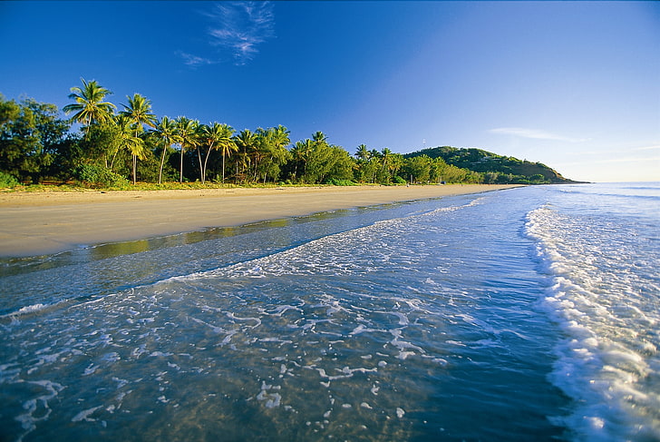 white sand beach, tropics, sea, palm trees, foam, nature, tropical Climate, HD wallpaper