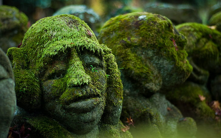 stones, face, moss, sculpture
