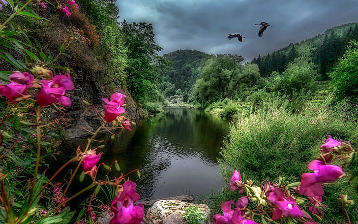 Cloudy Summer Day River Hills With Oak And Pine Forest, Willow Pink Flowers, Storks In Flight Desktop Wallpaper Hd