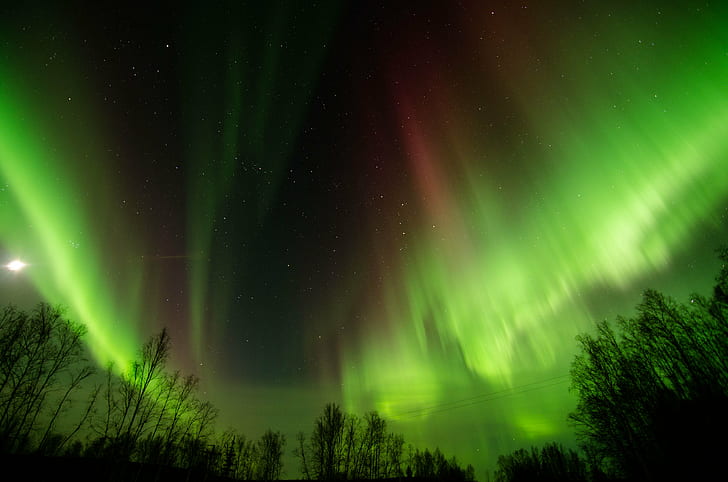 photo of Aurora lights, Watching, Wickersham, Dome, Aurora  Borealis, HD wallpaper
