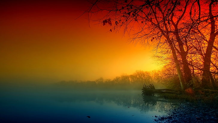 autumn, afterglow, calm, sunset, evening, mist, dusk, tree, HD wallpaper