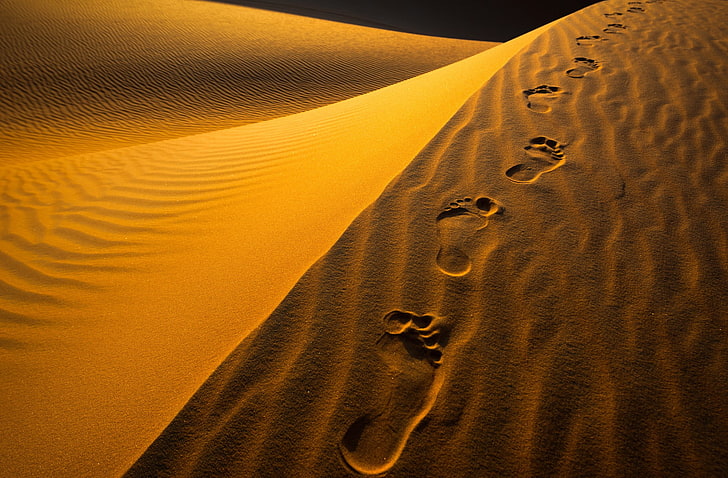 photography, desert, sand, land, sand dune, climate, footprint, HD wallpaper