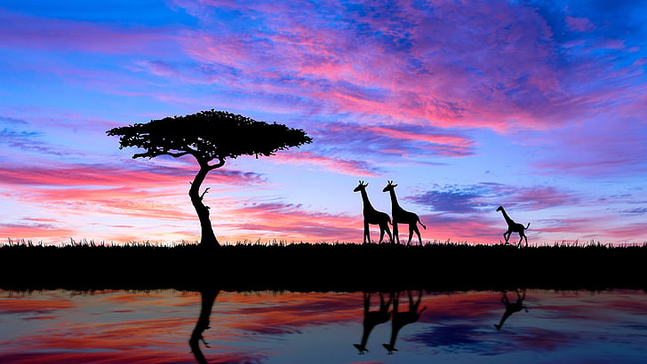 tree, lonely tree, camelopard, giraffe, calm, savanna, cloud, HD wallpaper