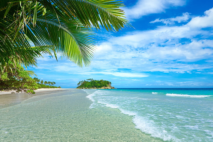 beach shore, plants, landscape, tropical, sea, palm trees, clouds