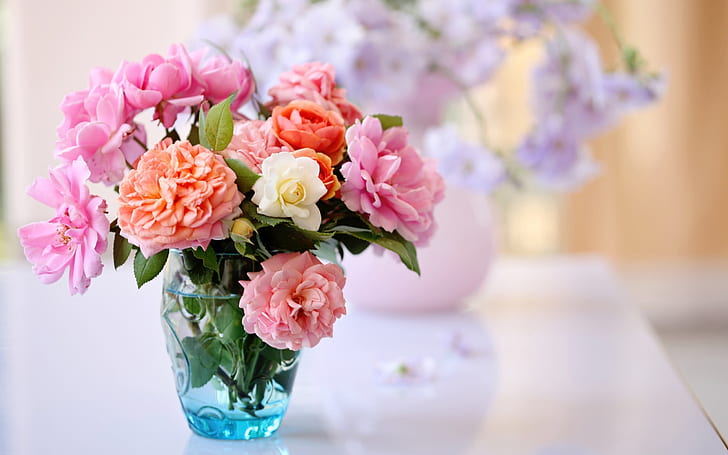 Desktop still life, roses, vase flower arrangement, HD wallpaper