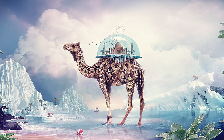 brown camel illustration, animals, digital art, camels, artwork, HD wallpaper