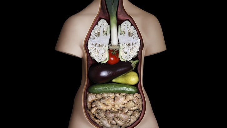 human anatomy dummy, figurines, vegetables, Guts, humor, cucumbers, HD wallpaper