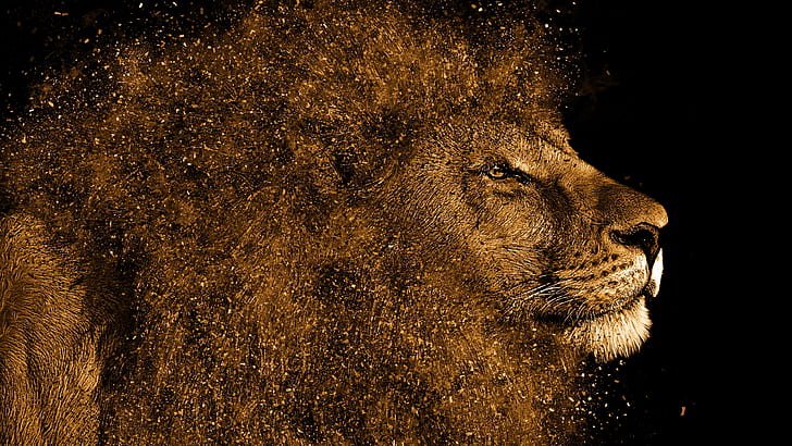 lion, head, digital art, big cat, dark, HD wallpaper