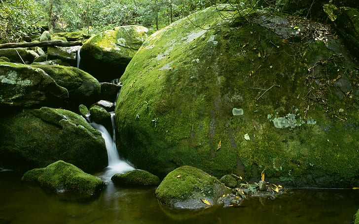 water, rocks, nature, HD wallpaper