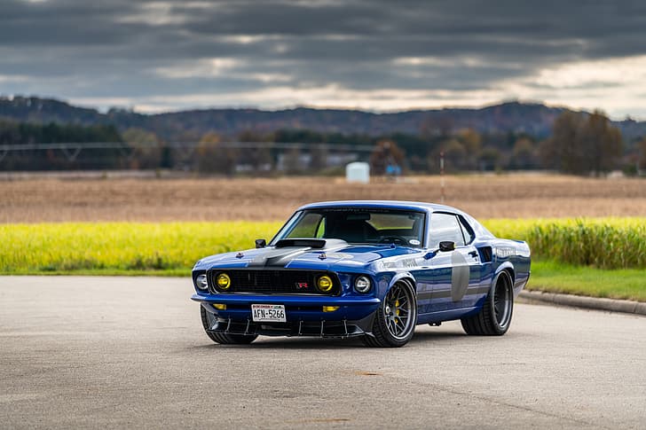 Ford, Road, Grass, 1969, Lights, Ford Mustang, Muscle car, Mach 1, HD wallpaper