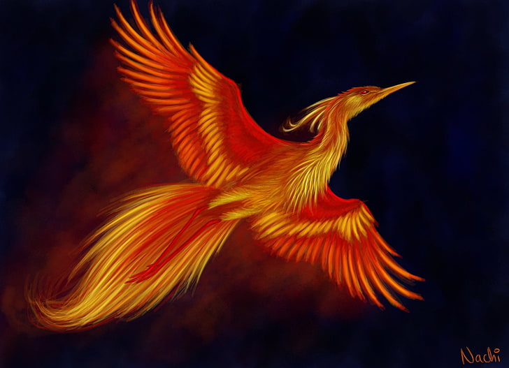 HD wallpaper: Fantasy Animals, Phoenix, Bird, Flight, Wings | Wallpaper  Flare
