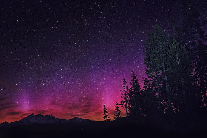 Aurora Borealis, landscape, night, stars, nature, pink, trees