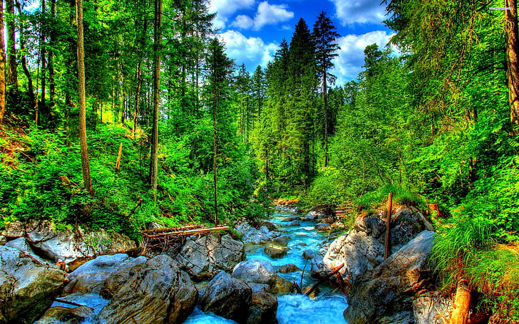 Mountain River Green Pine Forest, Rocks And Green Grass Wallpaper Download Hd 2880×1800, HD wallpaper