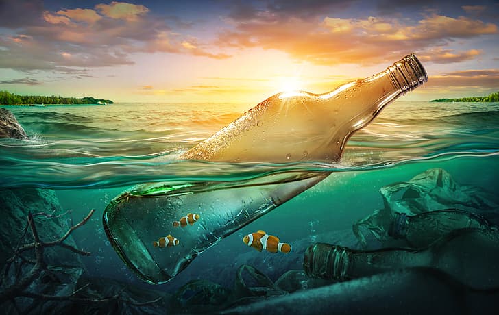 sea, fish, garbage, the ocean, bottle, pollution