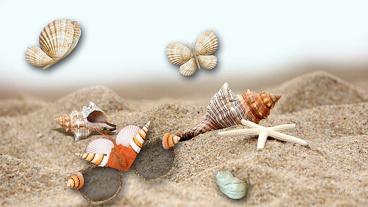 Sea Shells By The Sea, shore, butterfly, beach, star fish, seashells