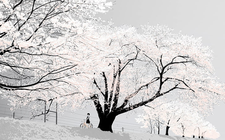 cherry blossoms tree, trees, snow, branch, cold temperature, beauty in nature