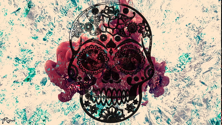 skull, smoke, indoors, close-up, human skull, human skeleton, HD wallpaper