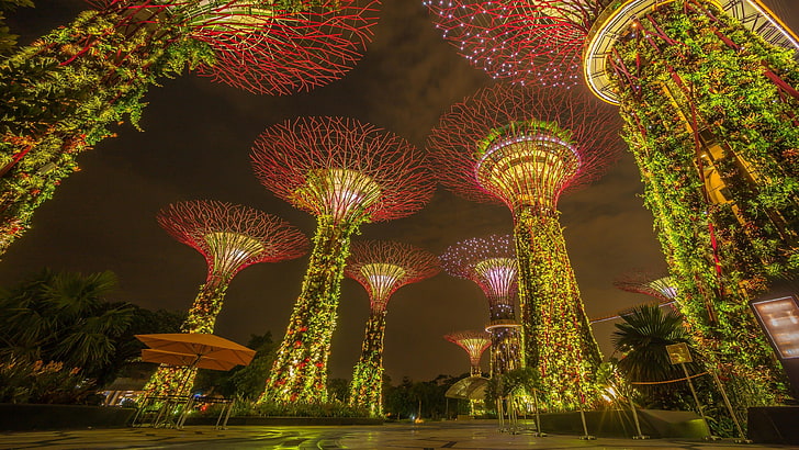 singapore, marina bay, garden, lights, night lights, supertree grove, HD wallpaper