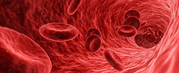 Red Blood Cells Microscope, Artistic, 3D, Care, Human, Flow, Macro